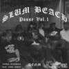 Slum Beach Posse. Vol. 1 - DENM & Landon McNamara