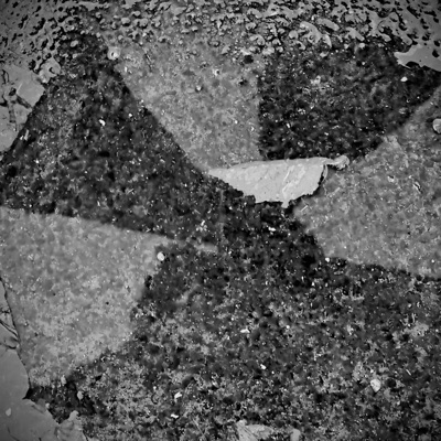 Weird Vibes - Single