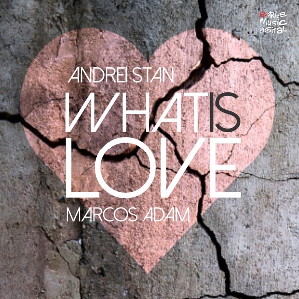 What Is Love - Single