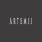 Artemis (feat. Fifty Vinc) - DIDKER lyrics