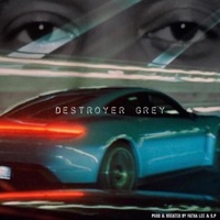 Destroyer Grey - Fatha Lee