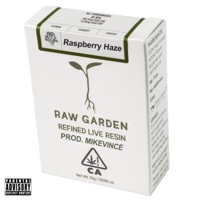 Rasberry Haze - Single - Yung Godzuki