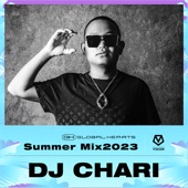 Vision: DJ Chari, Summer Mix 2023 (DJ Mix) artwork