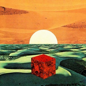 Birch Grove / Random Freak - Single