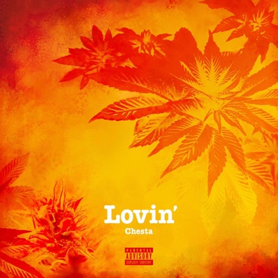 Lovin' - Single