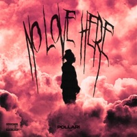 No Love Here - Pollari