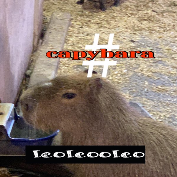 Capybara Spotted in Ohio Big Rodent Ohio Meme T-Shirt, Capybara In