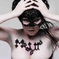 Triumph Of A Heart — Björk
