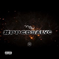#Ppcdsalvc - Single - Dante Storch