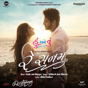 Re Sanam (From 