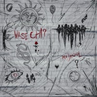 Vase Chi - Single - Majhool