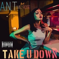 Take You Down (feat. Mic Rose) - Single - Dj @NT