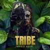 Tribe (Afro Edit) cover art