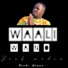 Waali Wano - Single