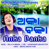 Anka Banka (feat. MALAYA MISHRA) - Single - Bishnumohan Kabi