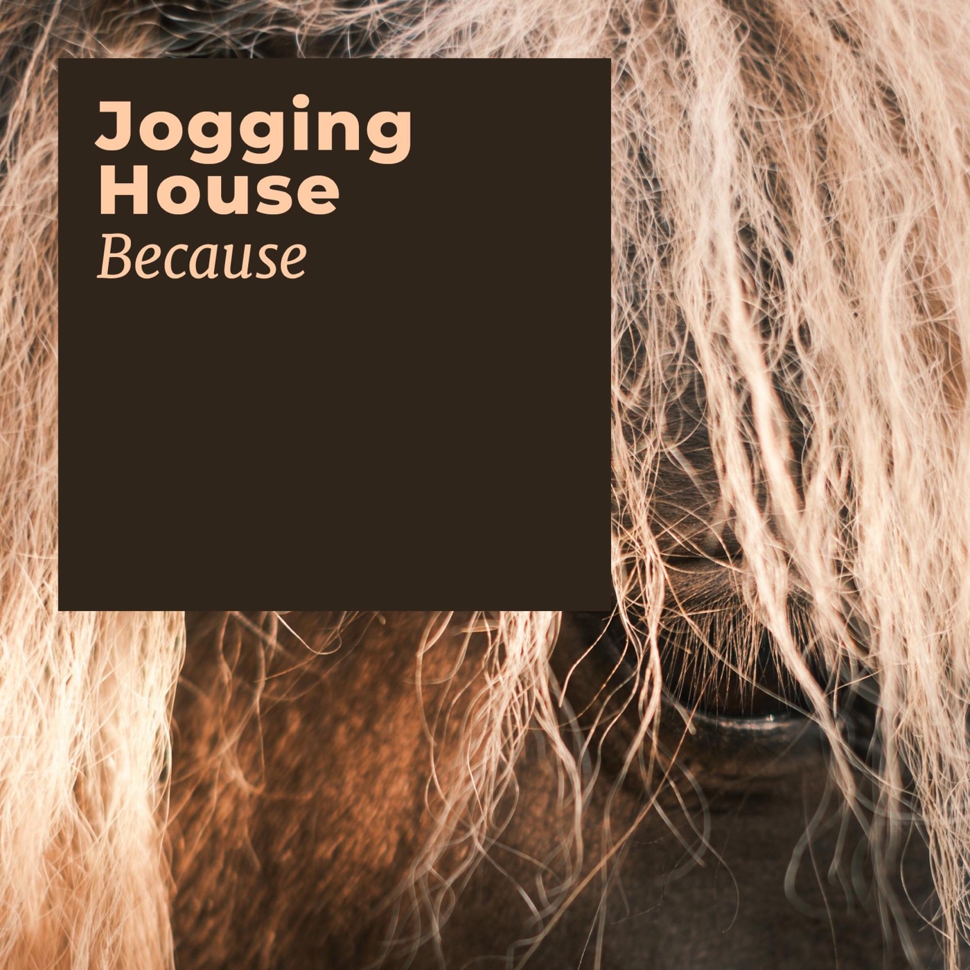 Because by Jogging House