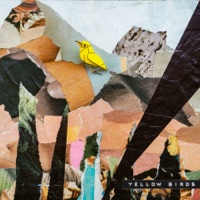 Yellow Birds - Single - SeanBeats