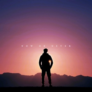 Now Or Never - Single