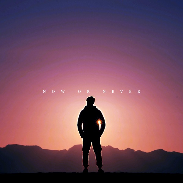 Now Or Never - Single