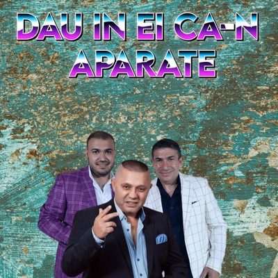 STEFAN DE LA BARBULESTI - Dau In Ei Ca-n Aparate (feat. Narcis de la Barbulesti & Nicolae Guta)