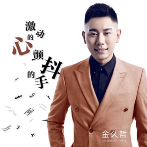 Jin Jiuzhe (金久哲) - Ji Dong De Xin Chan Dou De Shou (激动的心颤抖的手) (Dj何鹏版) - Line Dance Musique