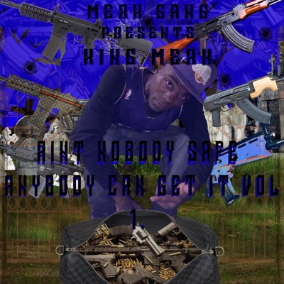 Aint Nobody Safe Anybody Can Get It, Vol. 1