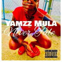 Never Tell - Single - Yamzz Mula