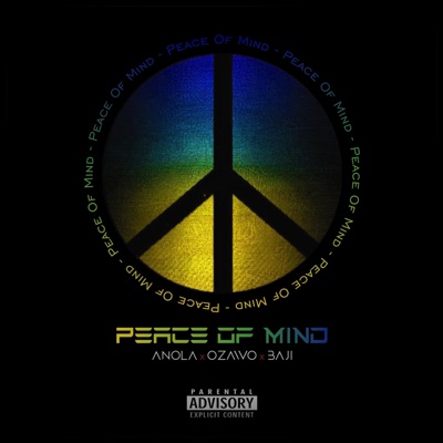 Peace Of Mind (POM) (feat. Ozawo & Bajii) - Single