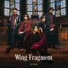 SOLIDEMO - Wing Fragment