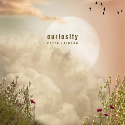 Curiosity - Single