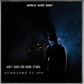 Ain't Sabi For Now (Feat. 999) [remix] Surdtorp