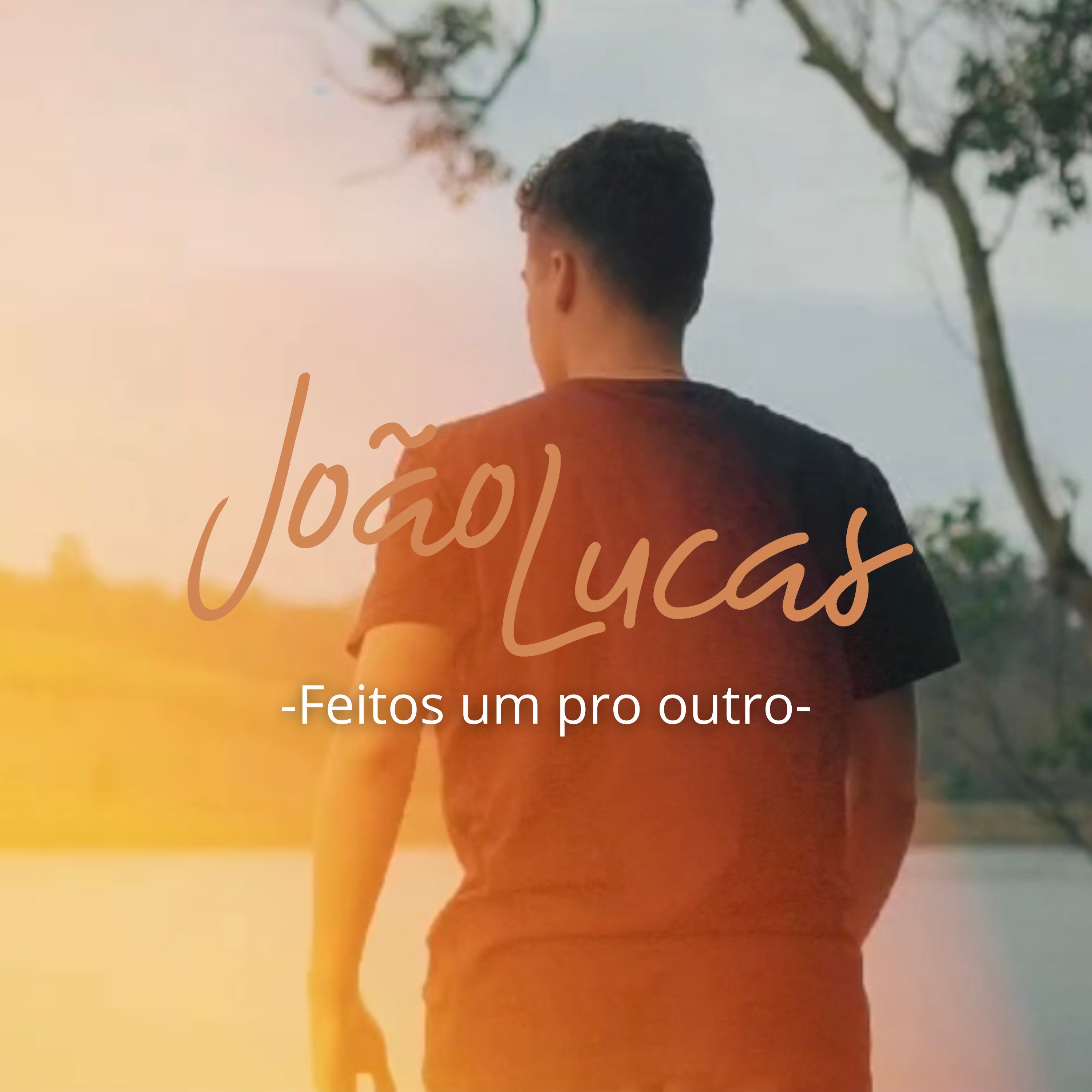 Feitos um pro Outro - Single