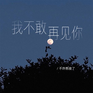 我不敢再见你 - Single