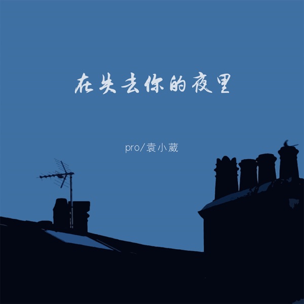 在失去你的夜里 - Single