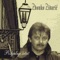 Pahulje, Pahulje, Pa Hulje - Zvonko Zidarić lyrics