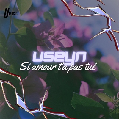 Si amour t'as pas tué - Single