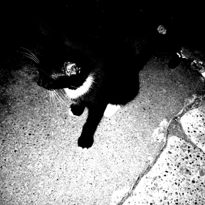 I Hate This Town (feat. The Ushanka Boy) - Single