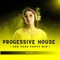 Progessive House (End Year Party Mix) [Album Mix] artwork
