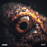 Curious Senses - Single - Ruely & vaenom