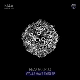 Seeing You Reza Golroo