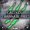 Cally DJ