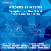 Symphony No. 4 for Orchestra: II. Adagio artwork