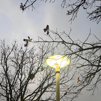 The Fifteenth - Single