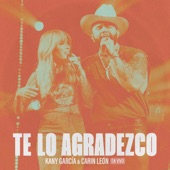 Te Lo Agradezco (En Vivo) artwork