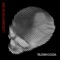 Look Back For No One - Taleban Dooda lyrics