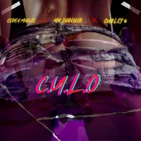 C.U.L.O (feat. MR INGENIO & CUBLEY 5) - Single - CEDEA MUSIC