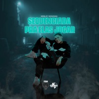 Sequenciada pra Elas Jogar - Single - Dj Wesley Gonzaga