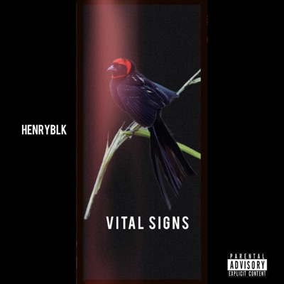 Vs4 - Single