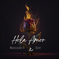 Hola Amor - Single - Deivy & Miguelacho TF