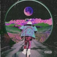 Wallen - Single - Calisi